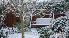 Důležité úkoly, které je třeba v lednu provést na zahradě a v zeleninové zahradě