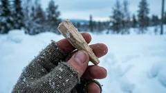 Staří lidé to dělali před zimou: malý kolík, který v mrazu dokáže zázraky